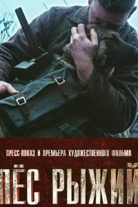 Михаил Жигалов, Александр Волков,