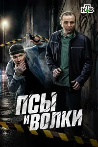 Сергей Жарков, Максим Стоянов, Юрий